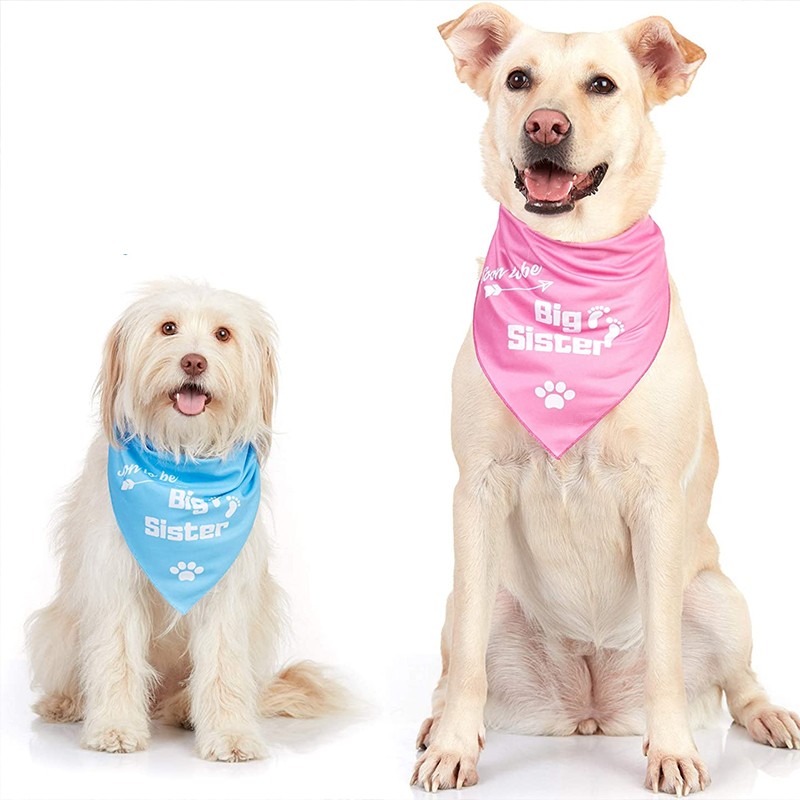 personalised custom dog bandana