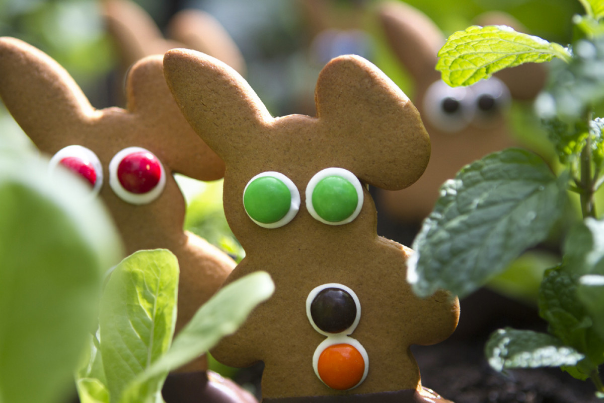 Gingerbread Easter Bunnies Group.Garden