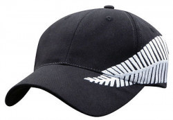 Embroidered Silver Fern Cap