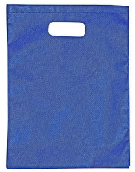 Non-Woven Large Gift Bag