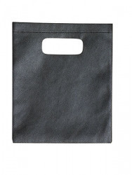 Non-Woven Small Gift Bag
