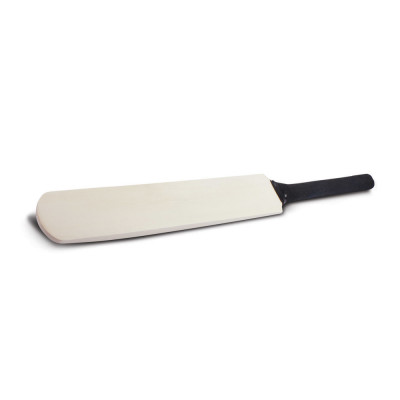 Mini Cricket Bat