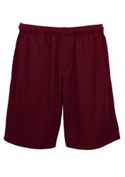 Mens Biz Cool Shorts