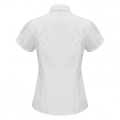 Ladies Berlin Short Sleeve Shirt