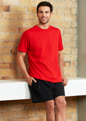 Mens Taslon Shorts