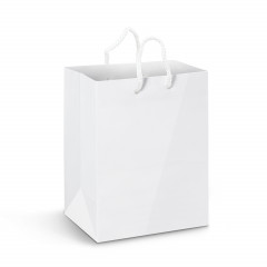 Large Laminated Paper Carry Bag - Full Colour
