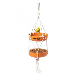 Bird Feeder
