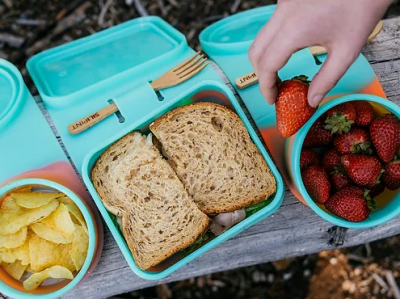 Silipint - Go Go Lunch Box