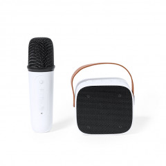 Karaoke Speaker Set