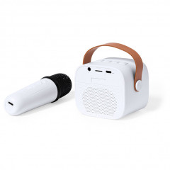 Karaoke Speaker Set