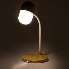 Limited Edition Multifunction Lamp