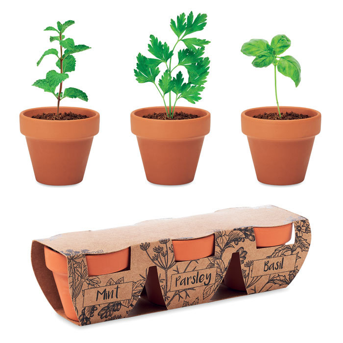Herb Garden Set | Custom Merchandise | Mint, Parley, Basil NZ
