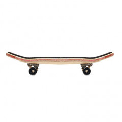 Mini Skateboard