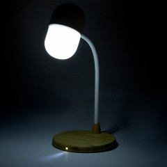 Limited Edition Multifunction Lamp