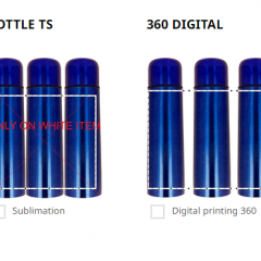 Glam Colored Double Wall Flask