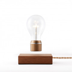 Royal Flyte Light - Set the Light bulb free