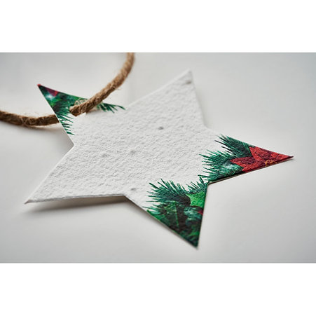Wildflower Seed Paper Star | Branded Christmas Gifts | Christmas Gifts NZ