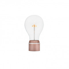 Royal Flyte Light - Set the Light bulb free