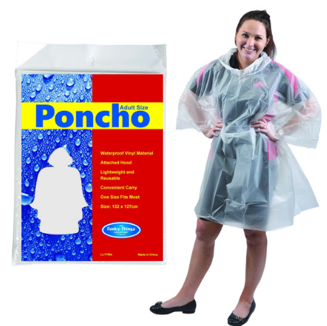 Hurricane Poncho