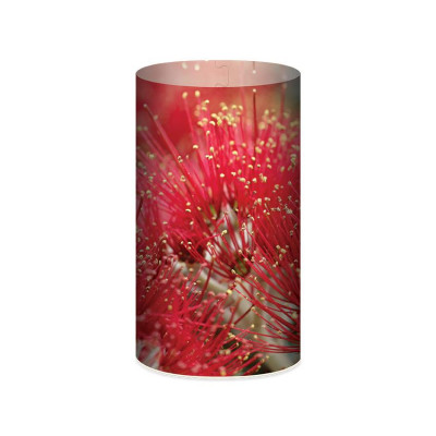 NZ Made LED Lamp