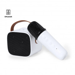 Karaoke Speaker Set