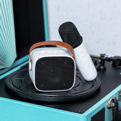 Karaoke Speaker Set