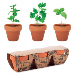 Herb Garden Set