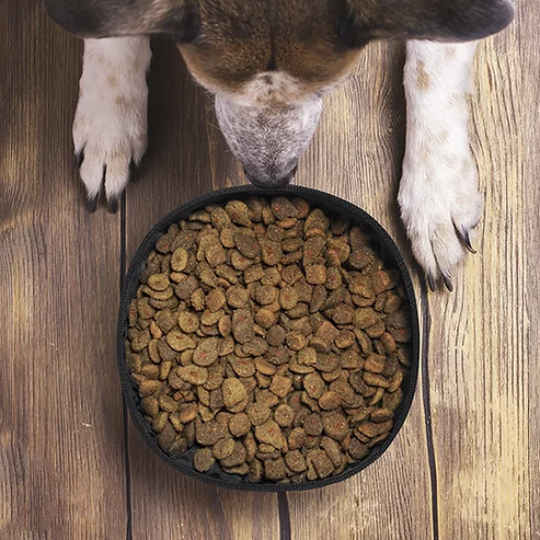 RPET Foldable Pet Bowl