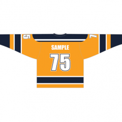 Ice Hockey Goalie Jersey