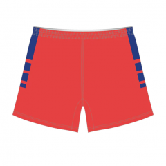 Soccer Standard Shorts