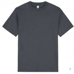American Apparel Heavyweight Cotton Unisex T-Shirt