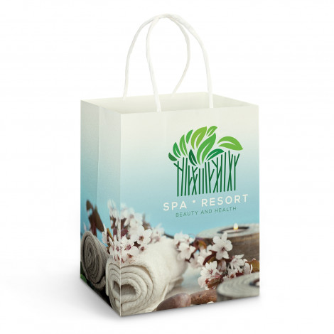Large Paper Carry Bag - Full Colour | Eco Merchandise | Promotional Products NZ