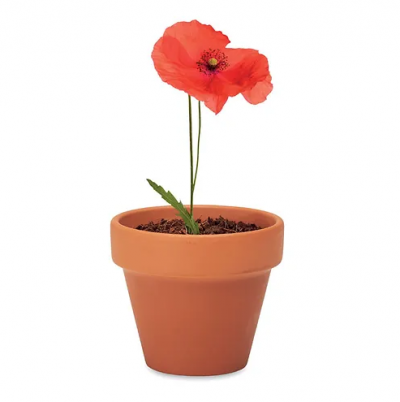 Poppy - Grow your own pot